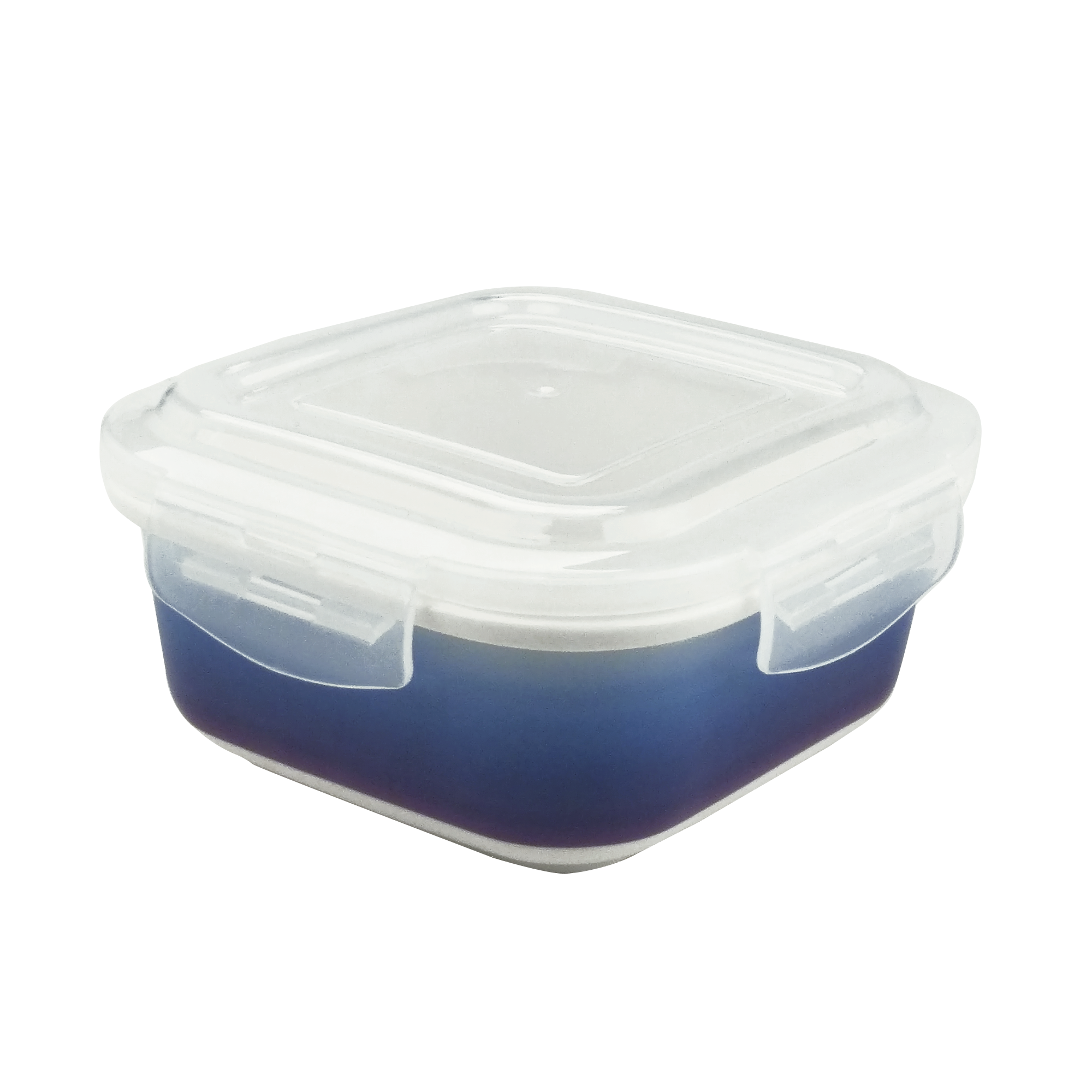 Clear Medium Locking Storage Bins with Lids